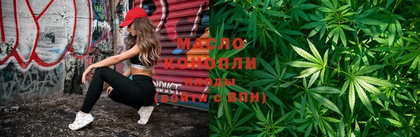 сатива Магадан