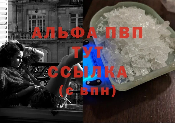 сатива Магадан