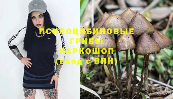 apvp Медногорск