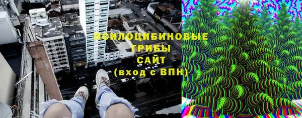 сатива Медвежьегорск