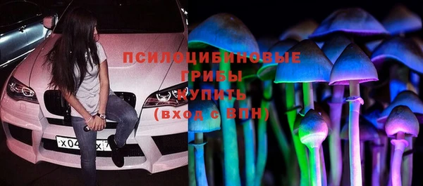 сатива Магадан