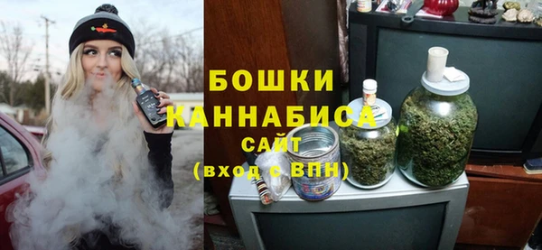 сатива Медвежьегорск