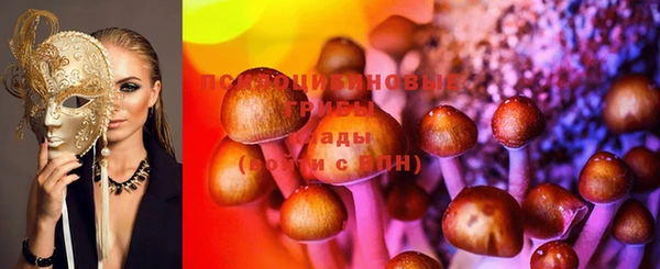 apvp Медногорск